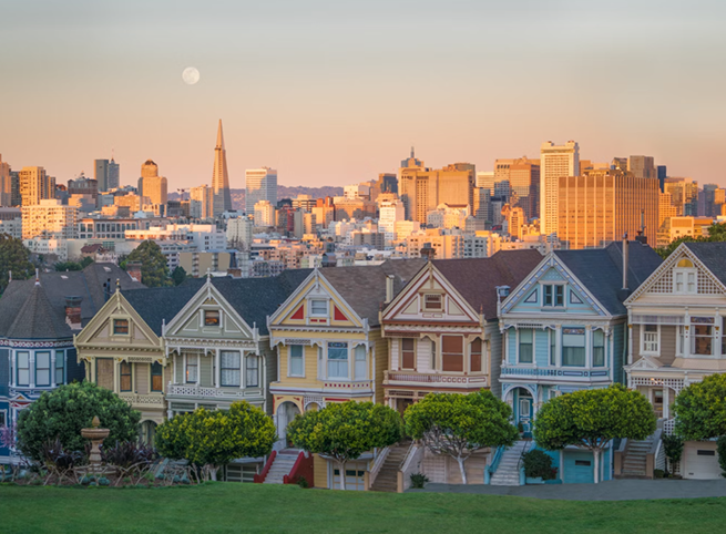 San Francisco Painted Ladies